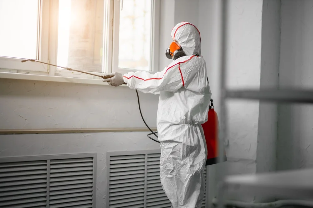 Professional mold remediation services in Hampton, GA